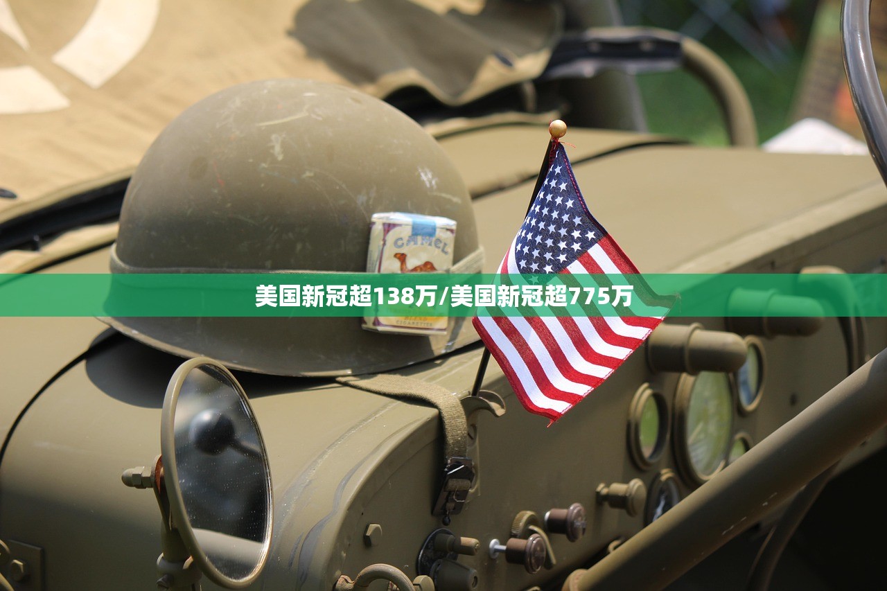 美国新冠超138万/美国新冠超775万
