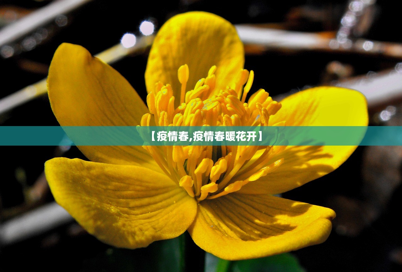 【疫情春,疫情春暖花开】