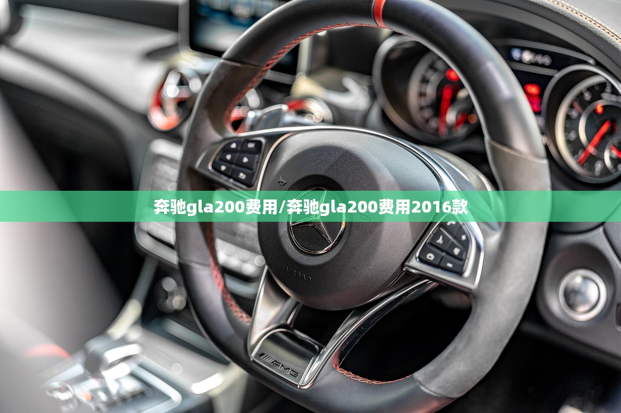 奔驰gla200费用/奔驰gla200费用2016款