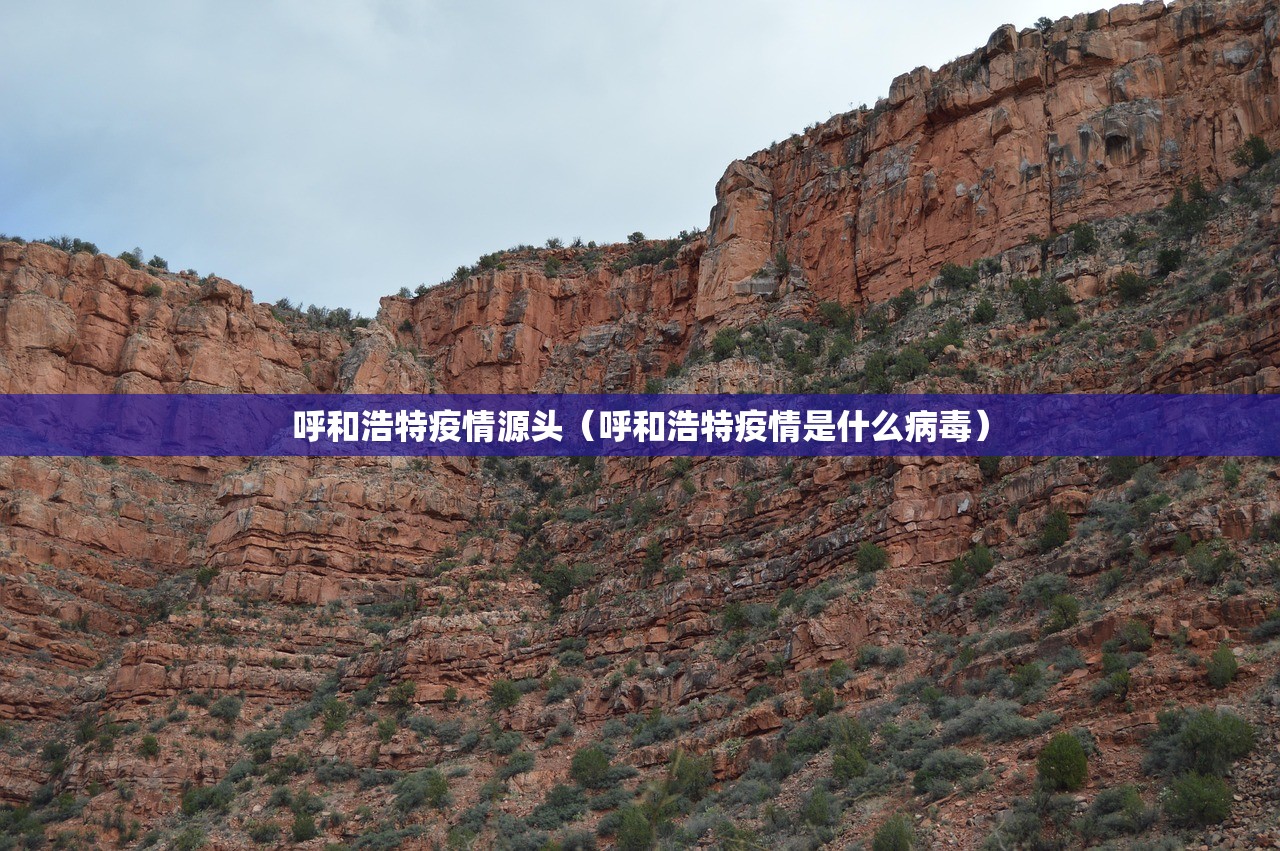 呼和浩特疫情源头（呼和浩特疫情是什么病毒）
