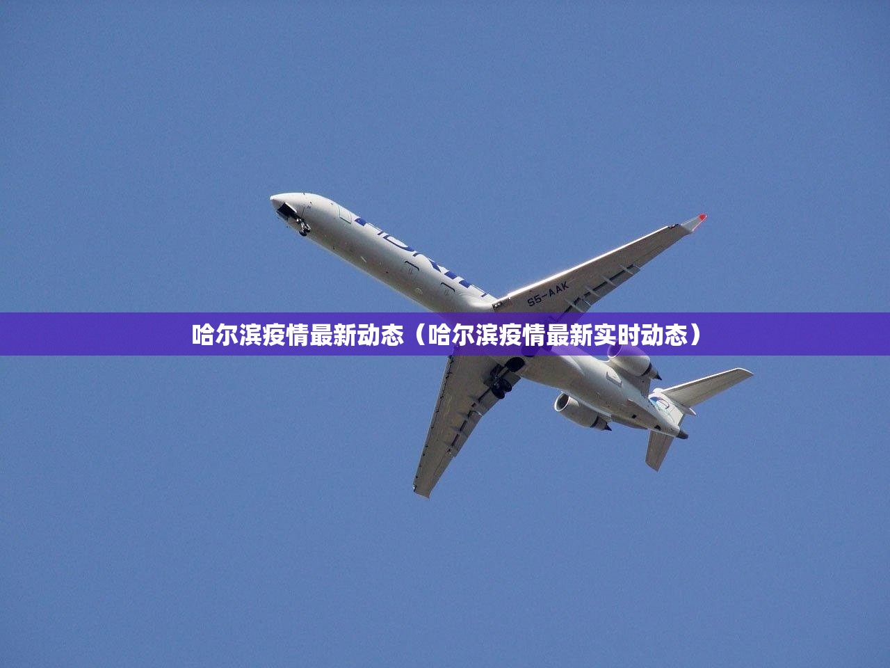 哈尔滨疫情最新动态（哈尔滨疫情最新实时动态）