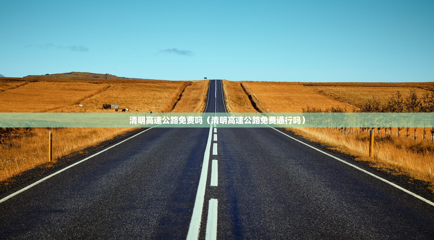 清明高速公路免费吗（清明高速公路免费通行吗）