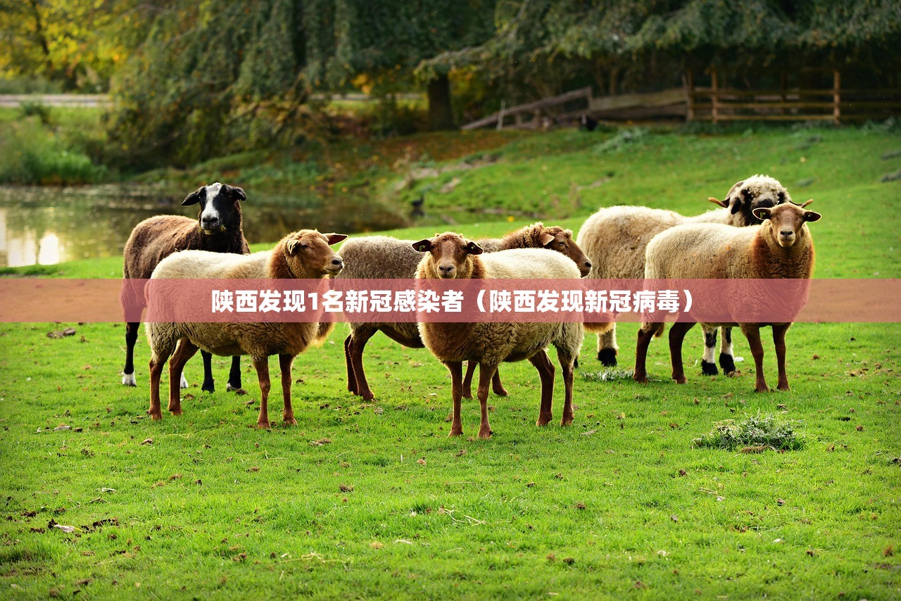 陕西发现1名新冠感染者（陕西发现新冠病毒）