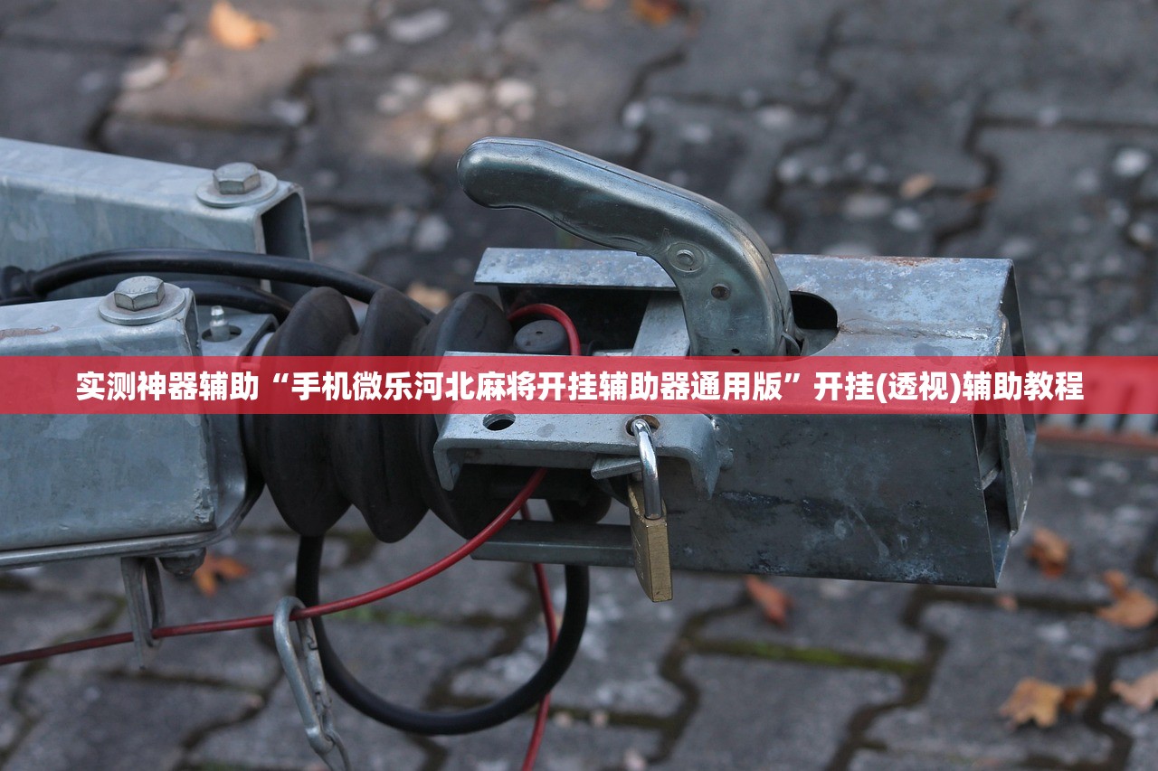 实测神器辅助“手机微乐河北麻将开挂辅助器通用版”开挂(透视)辅助教程