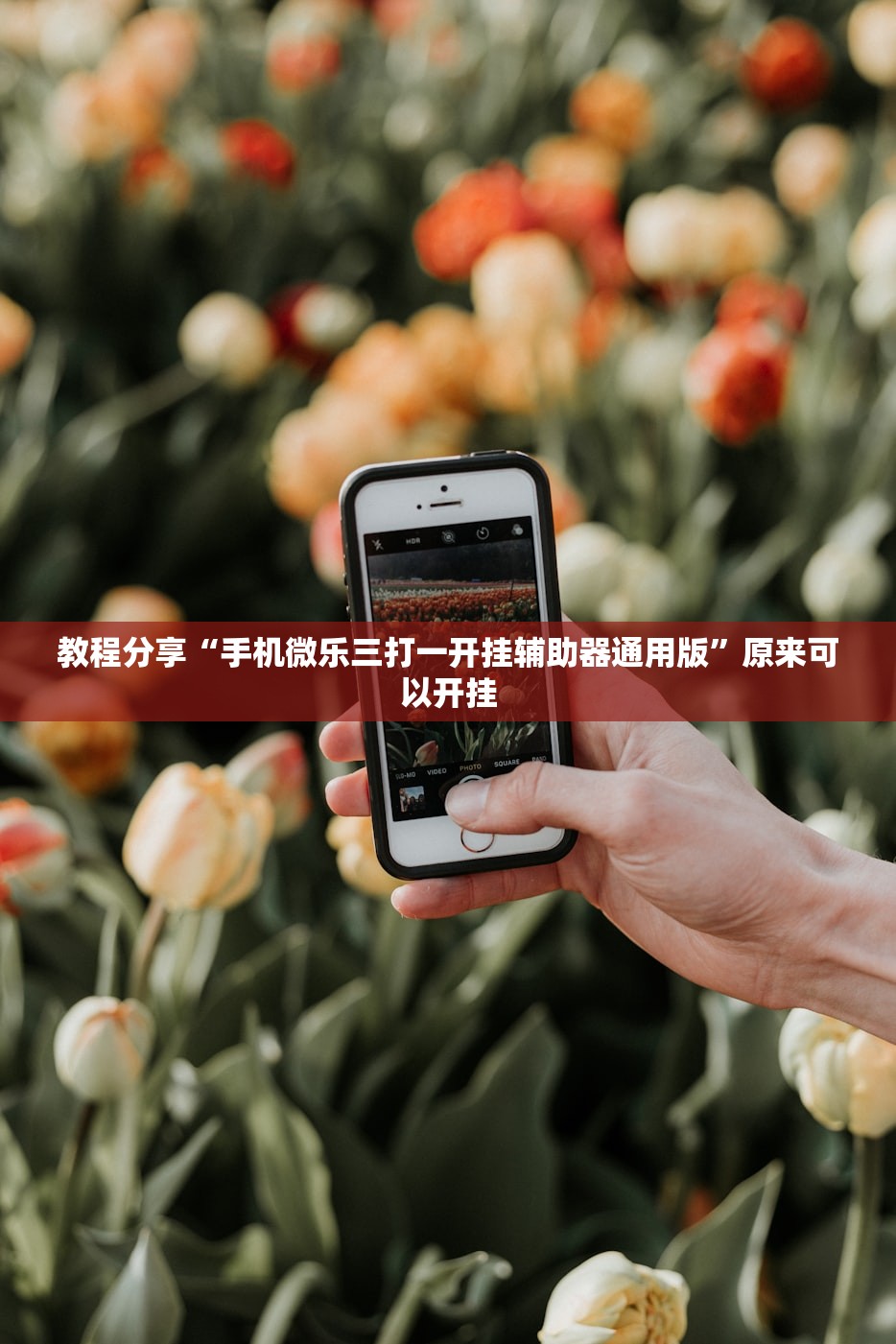 教程分享“手机微乐三打一开挂辅助器通用版”原来可以开挂