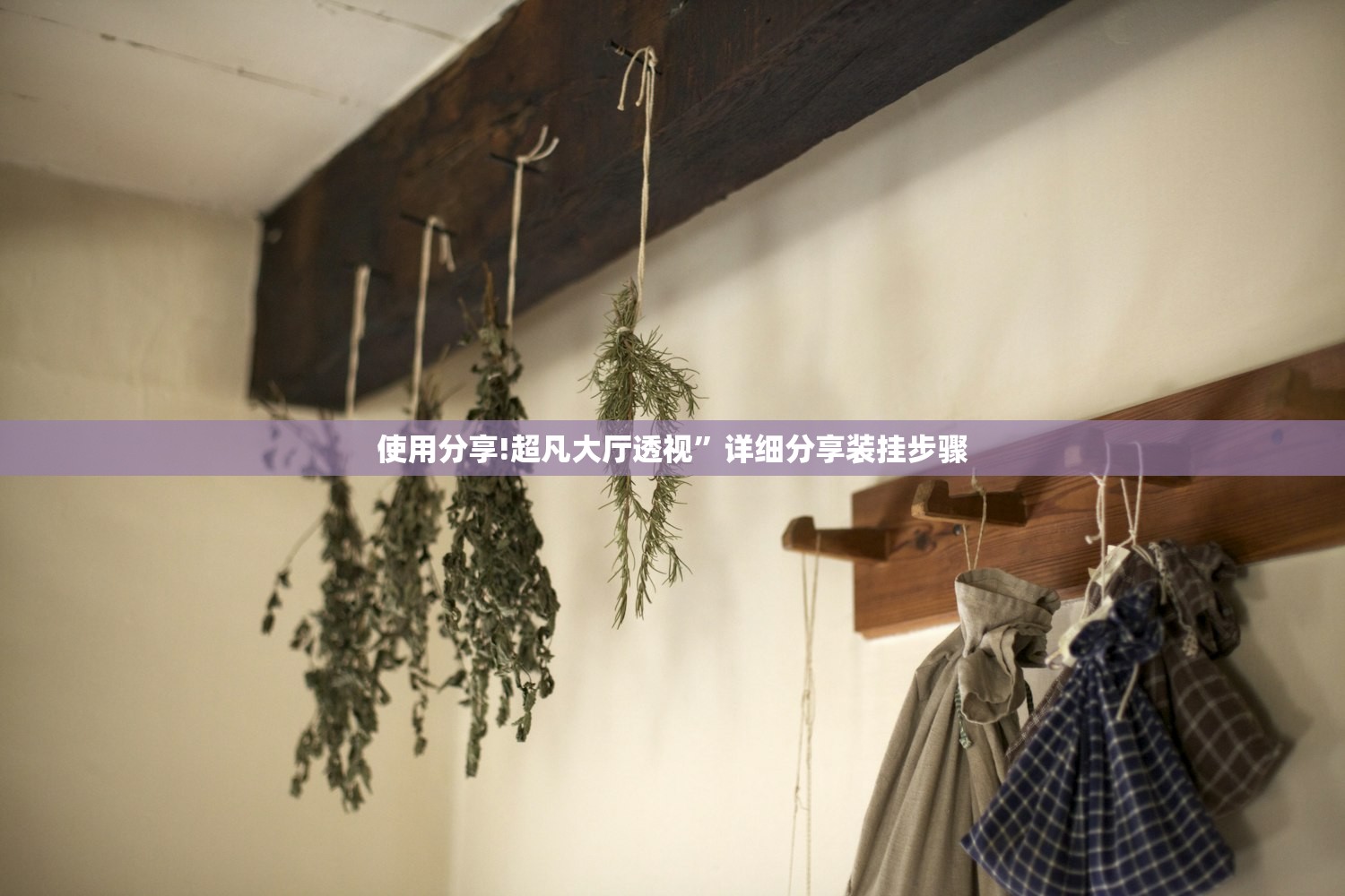 使用分享!超凡大厅透视”详细分享装挂步骤