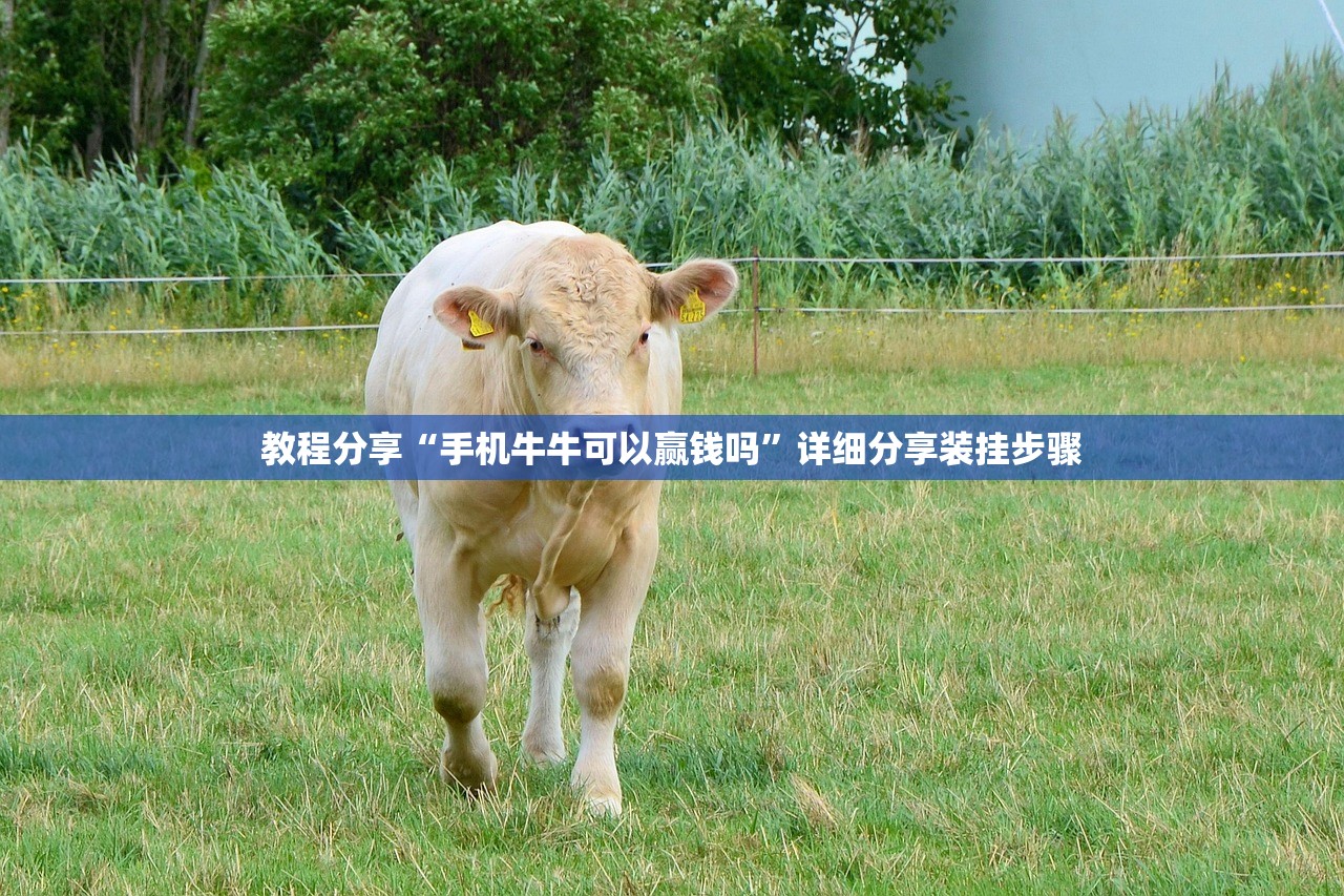 教程分享“手机牛牛可以赢钱吗”详细分享装挂步骤