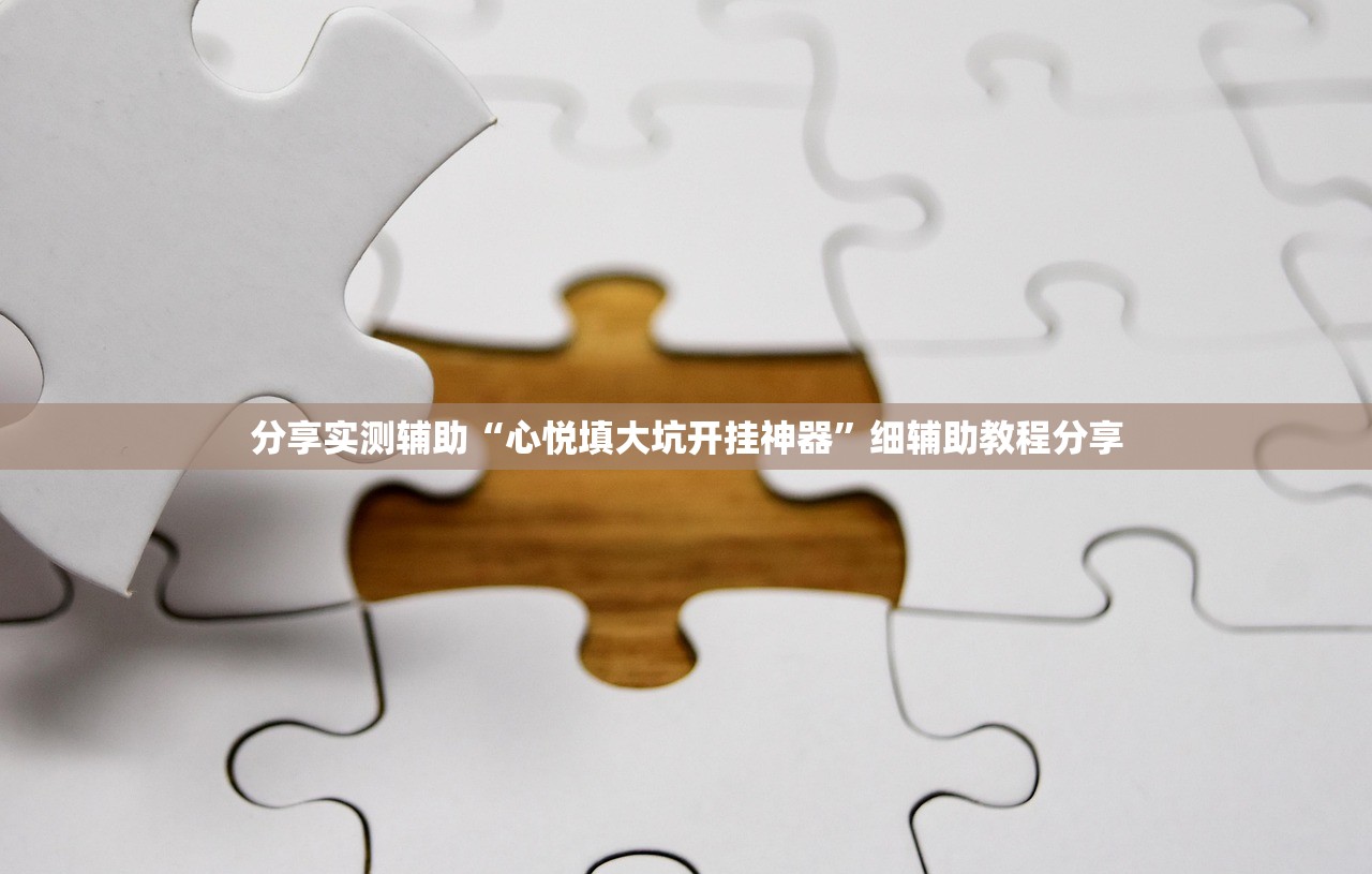 分享实测辅助“心悦填大坑开挂神器”细辅助教程分享