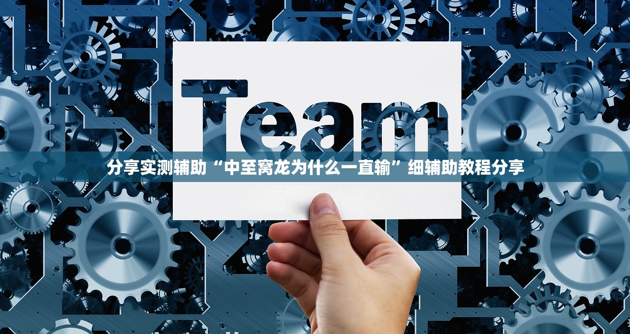 分享实测辅助“中至窝龙为什么一直输”细辅助教程分享