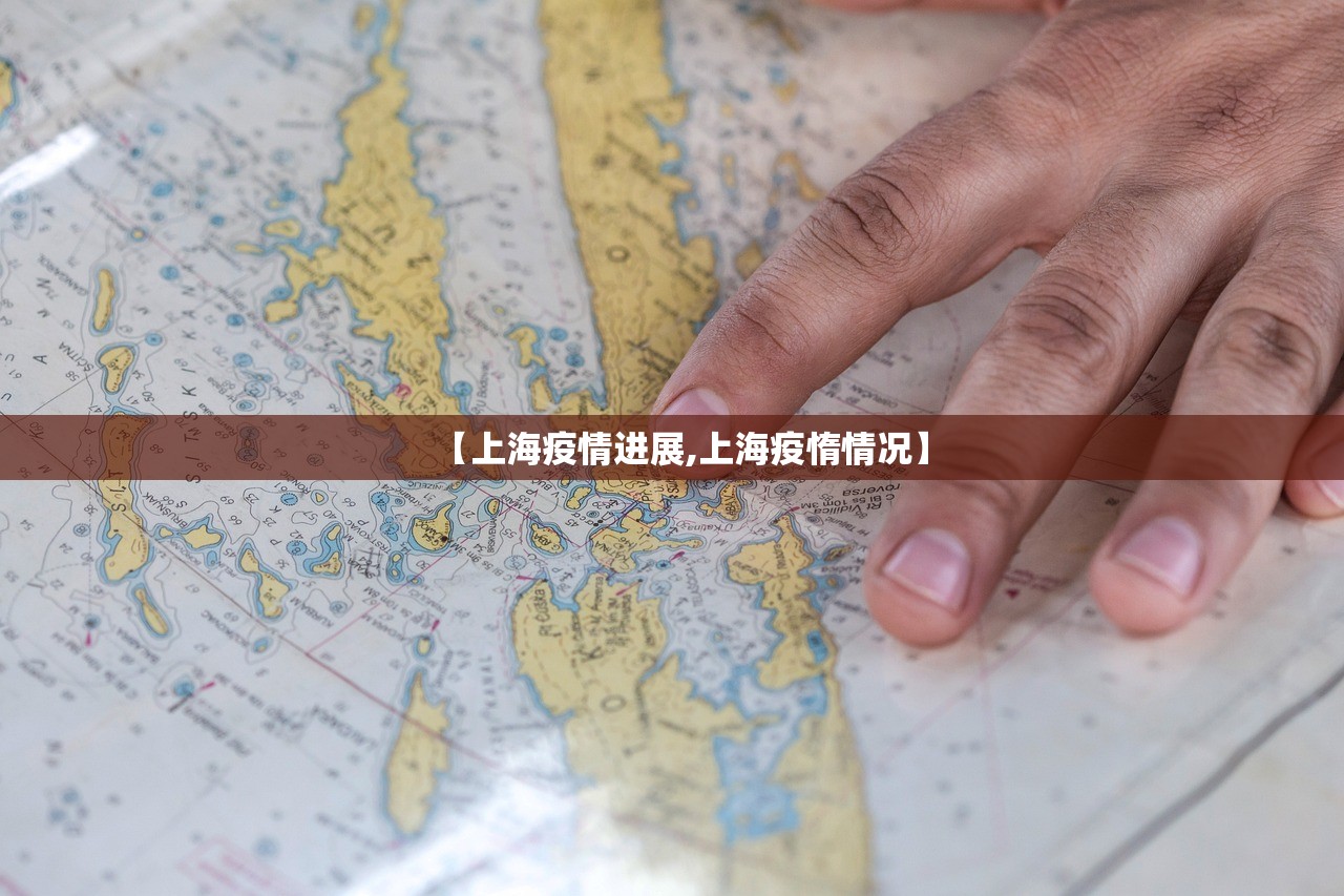 【上海疫情进展,上海疫惰情况】