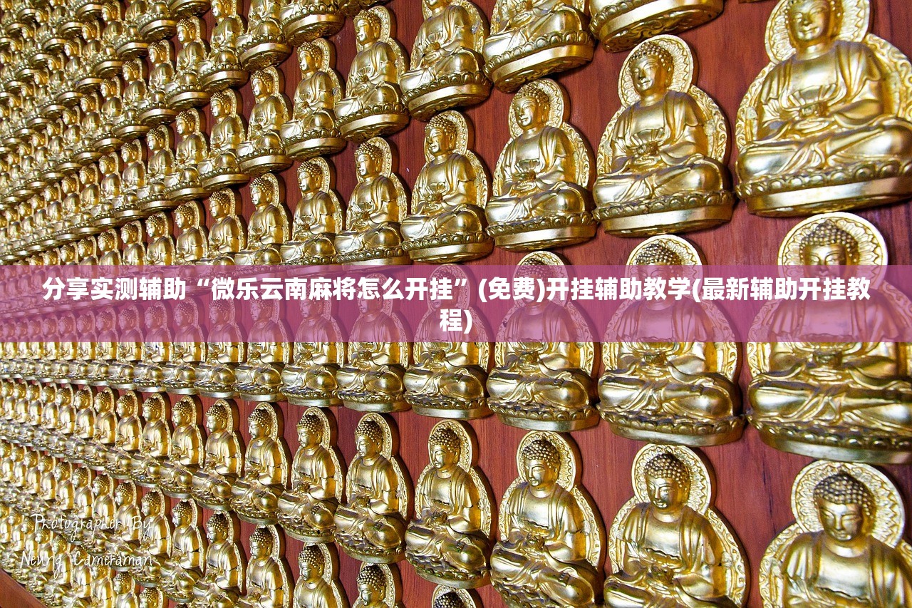 分享实测辅助“方片十三张有没有挂”开挂(透视)辅助神器