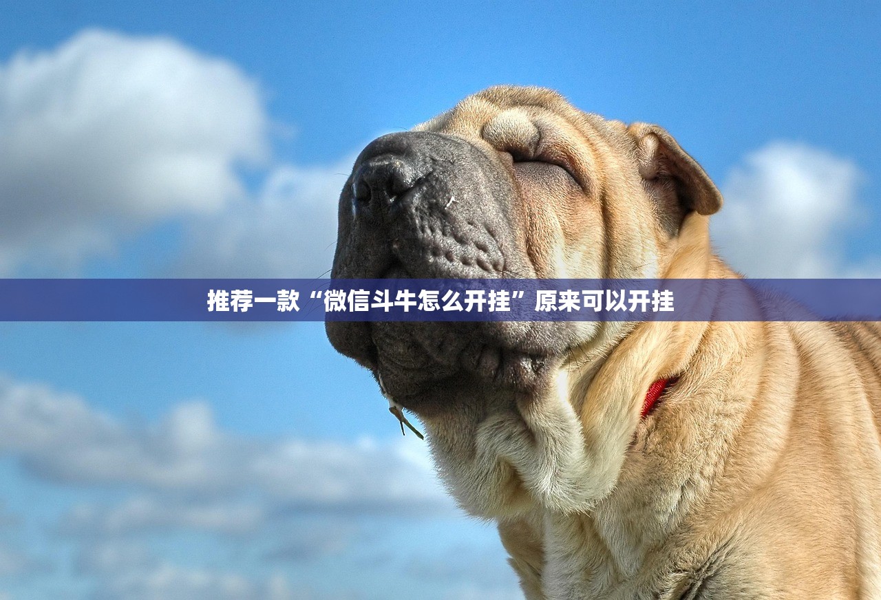 安庆确诊:安庆疑似患者确诊