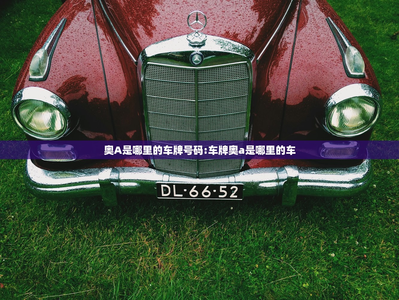 奥A是哪里的车牌号码:车牌奥a是哪里的车