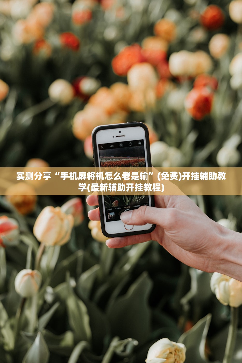 河北疫情最新公布:河北疫情最新公布情况