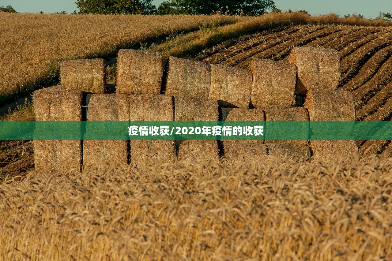 疫情收获/2020年疫情的收获