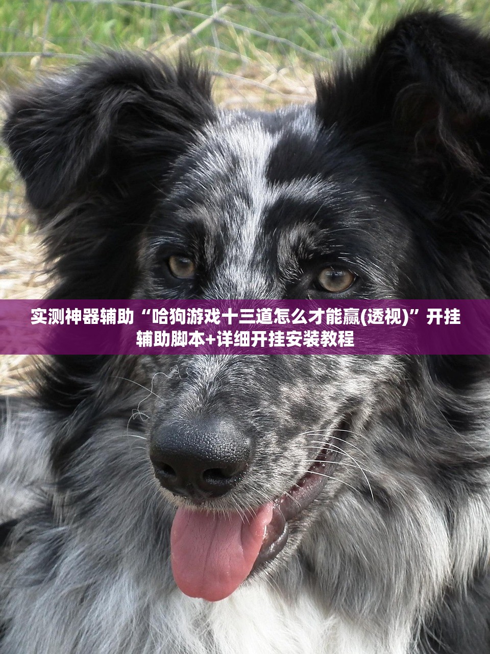 强力推荐“微信小程序麻将真的能开挂吗”详细分享装挂步骤