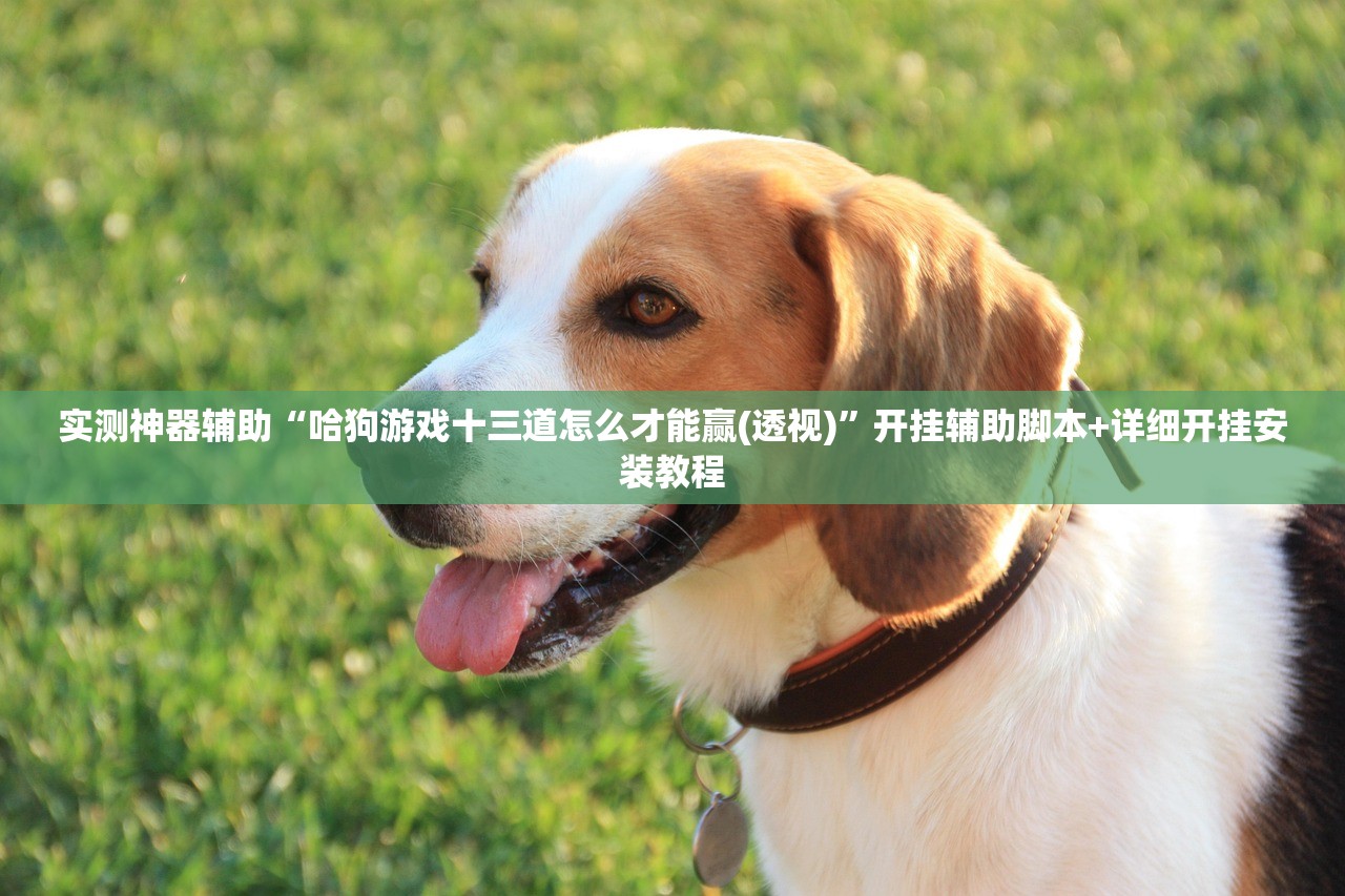实测神器辅助“哈狗游戏十三道怎么才能赢(透视)”开挂辅助脚本+详细开挂安装教程