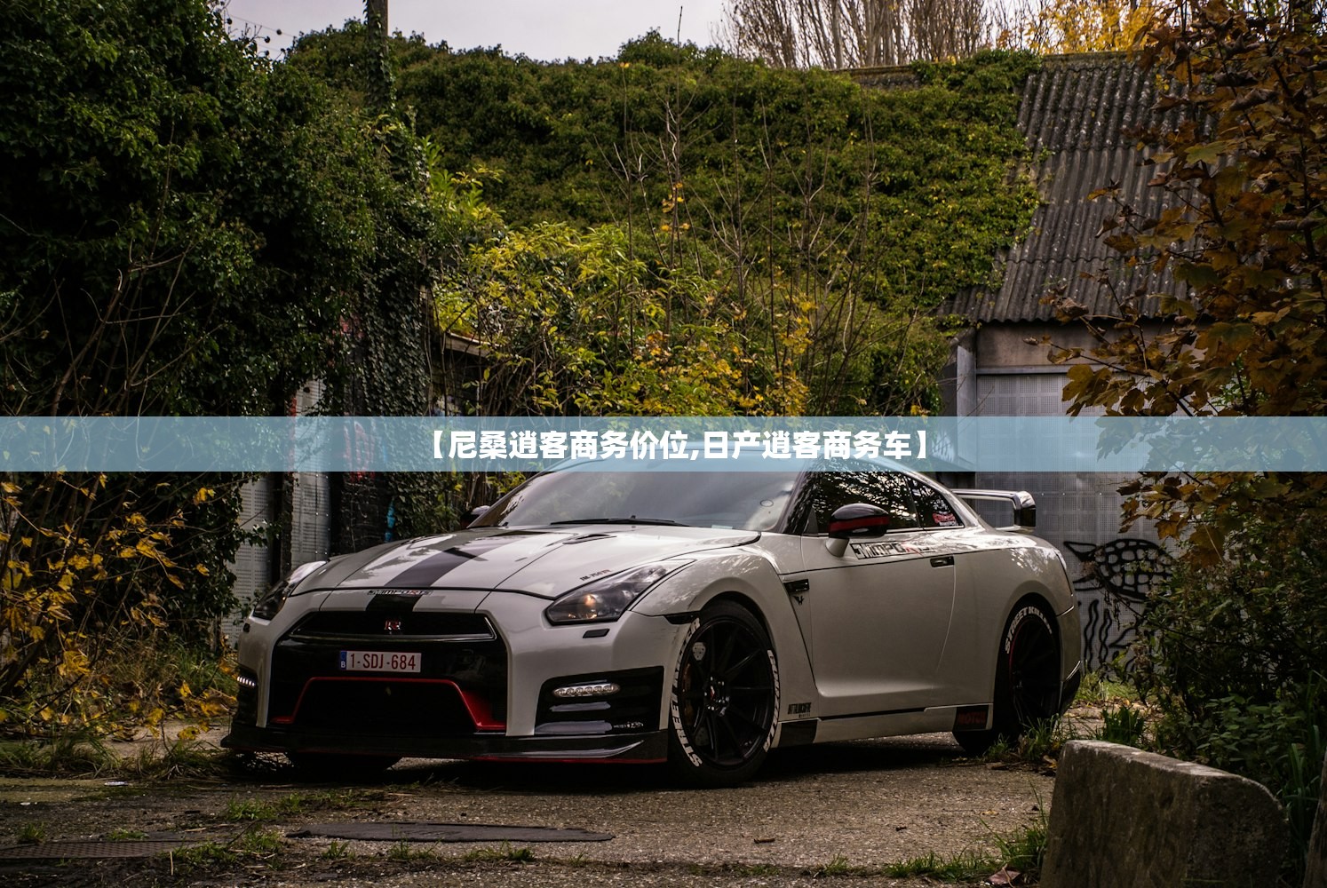 【尼桑逍客商务价位,日产逍客商务车】