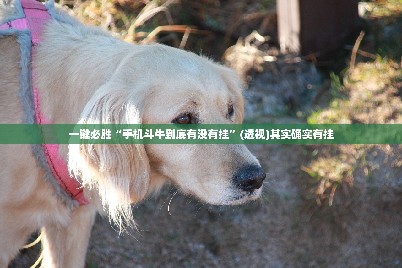 成都五地调整为低风险地区（成都两地调整为低风险）