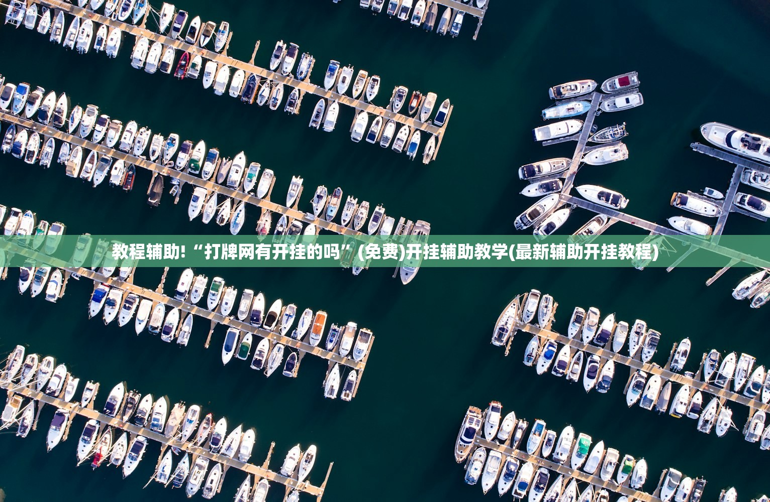 【浙大哪个专业比较好,浙大那个专业比较好】
