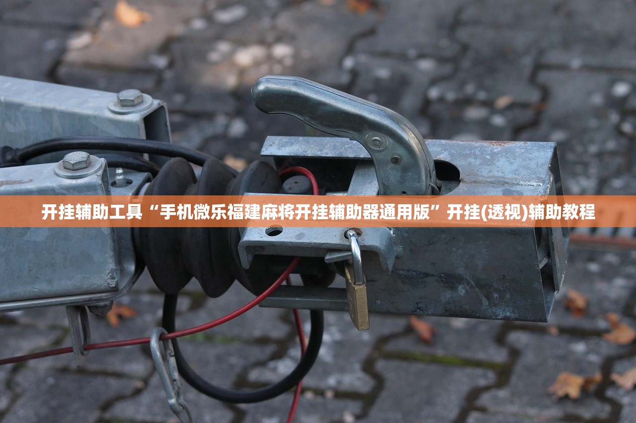 开挂辅助工具“手机微乐福建麻将开挂辅助器通用版”开挂(透视)辅助教程