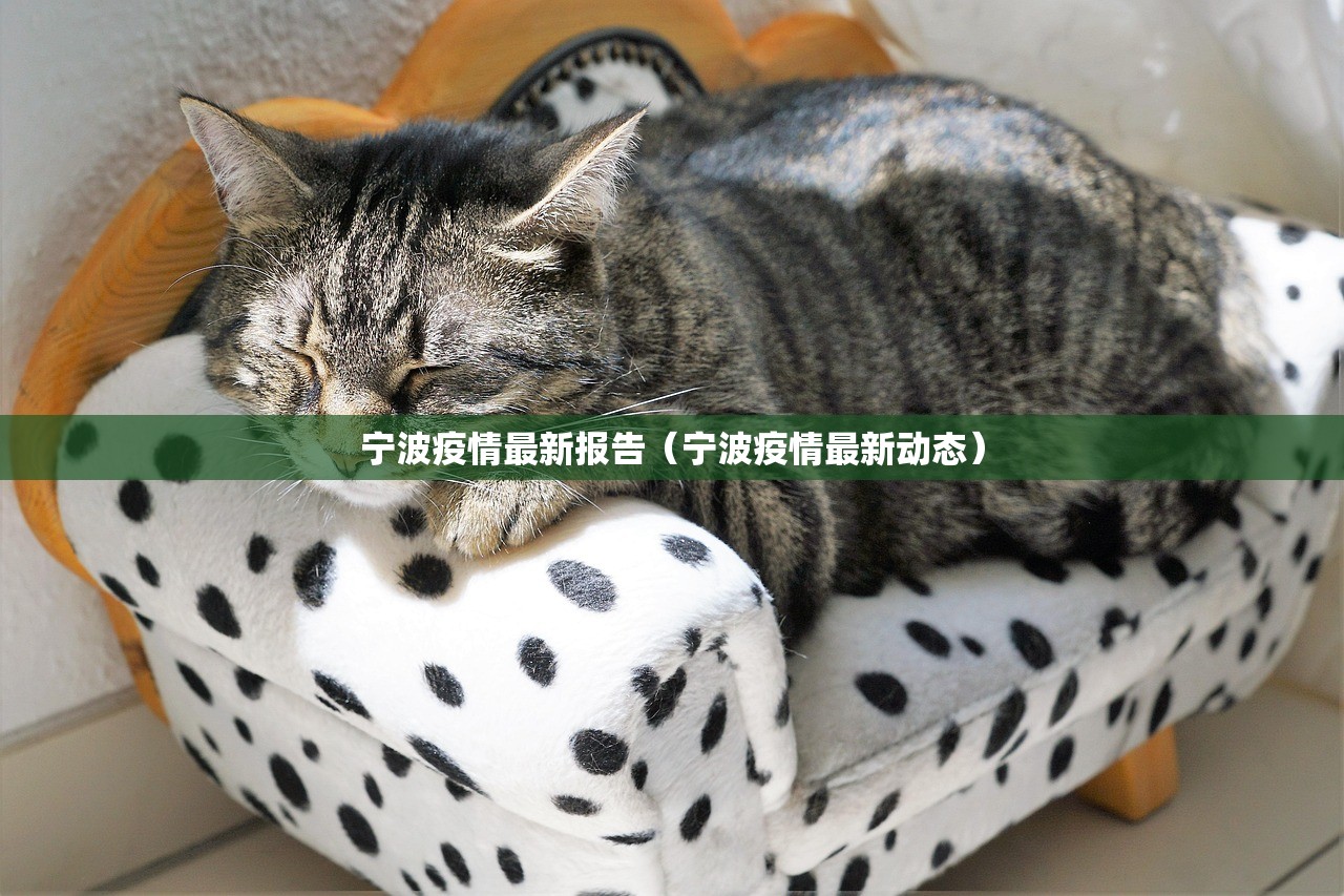 实测辅助“创思维激k到底有没有挂”细辅助教程分享