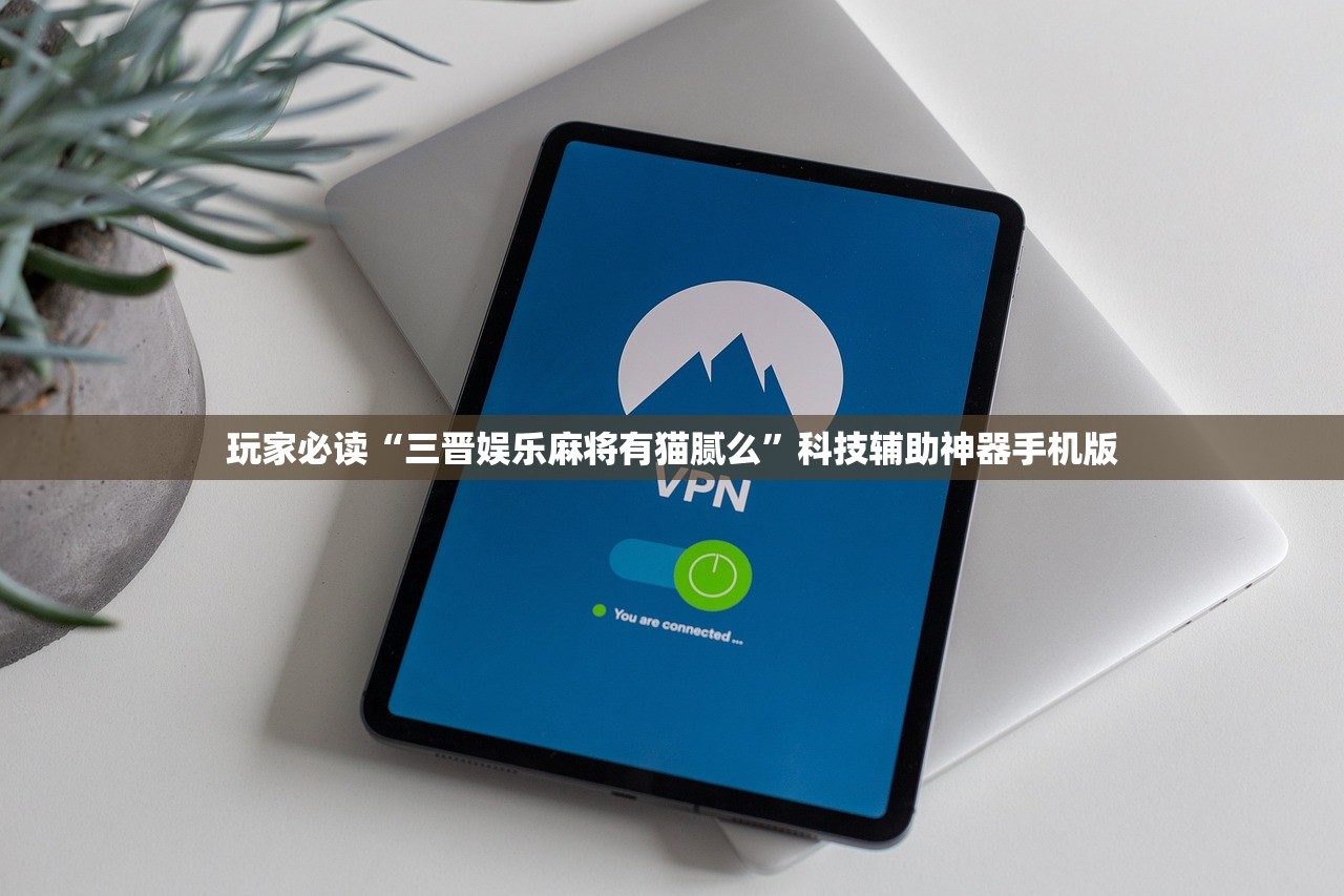 玩家必读“三晋娱乐麻将有猫腻么”科技辅助神器手机版
