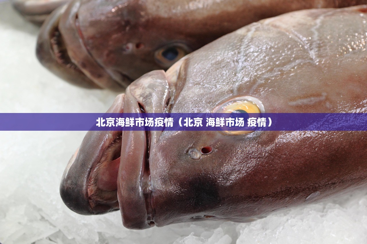 北京海鲜市场疫情（北京 海鲜市场 疫情）