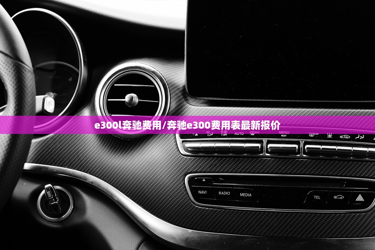 e300l奔驰费用/奔驰e300费用表最新报价
