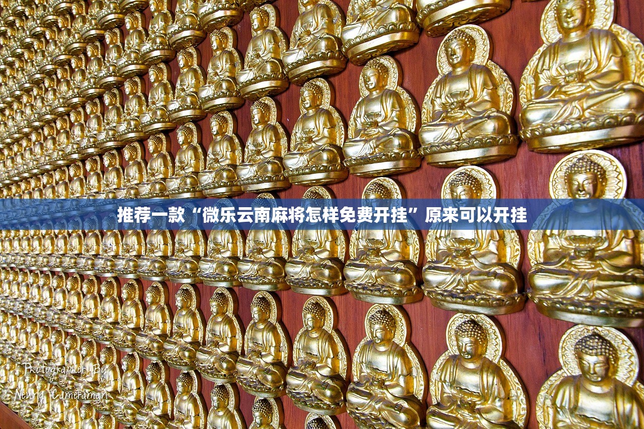 推荐一款“微乐云南麻将怎样免费开挂”原来可以开挂