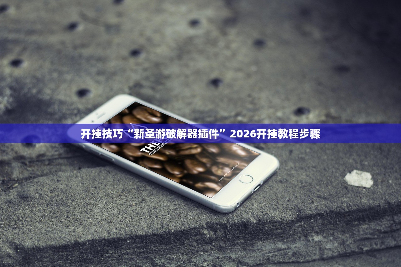 开挂技巧“新圣游破解器插件”2026开挂教程步骤