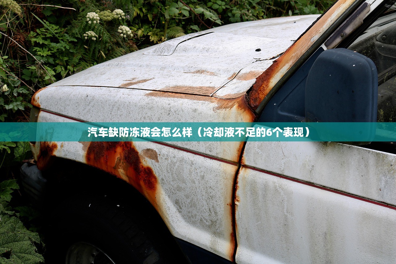 推荐一款“手机麻将小程序必赢神器”(辅助神器)开挂详细教程