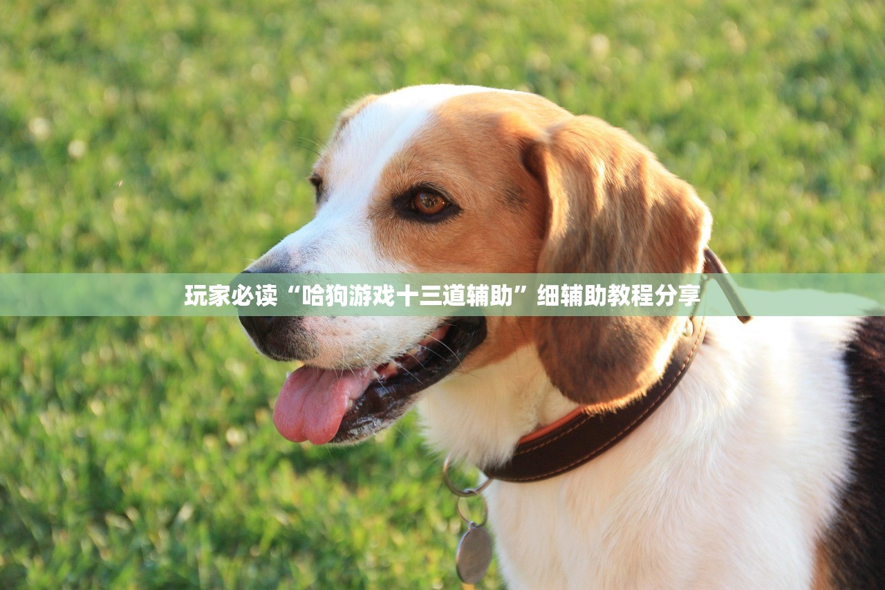 可用版本“闲游娱乐透视辅助免费”其实确实有挂