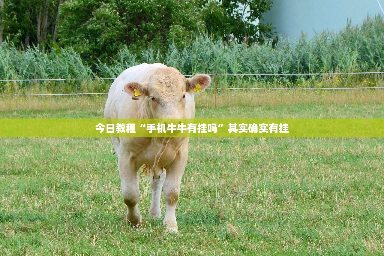 使用分享!科乐斗地主记牌器”开挂(透视)最新辅助详细