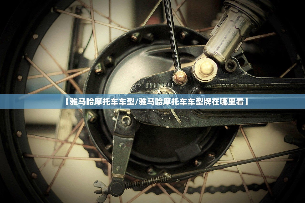 【雅马哈摩托车车型/雅马哈摩托车车型牌在哪里看】