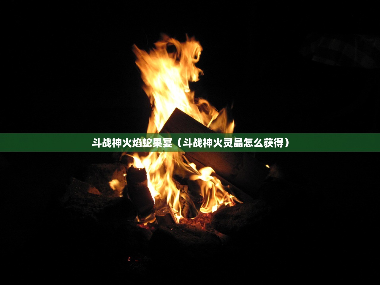 斗战神火焰蛇果宴（斗战神火灵晶怎么获得）