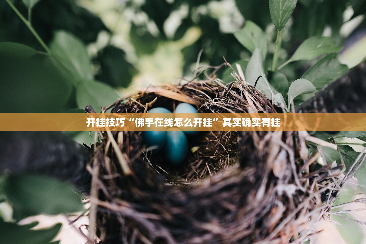 开挂技巧“佛手在线怎么开挂”其实确实有挂