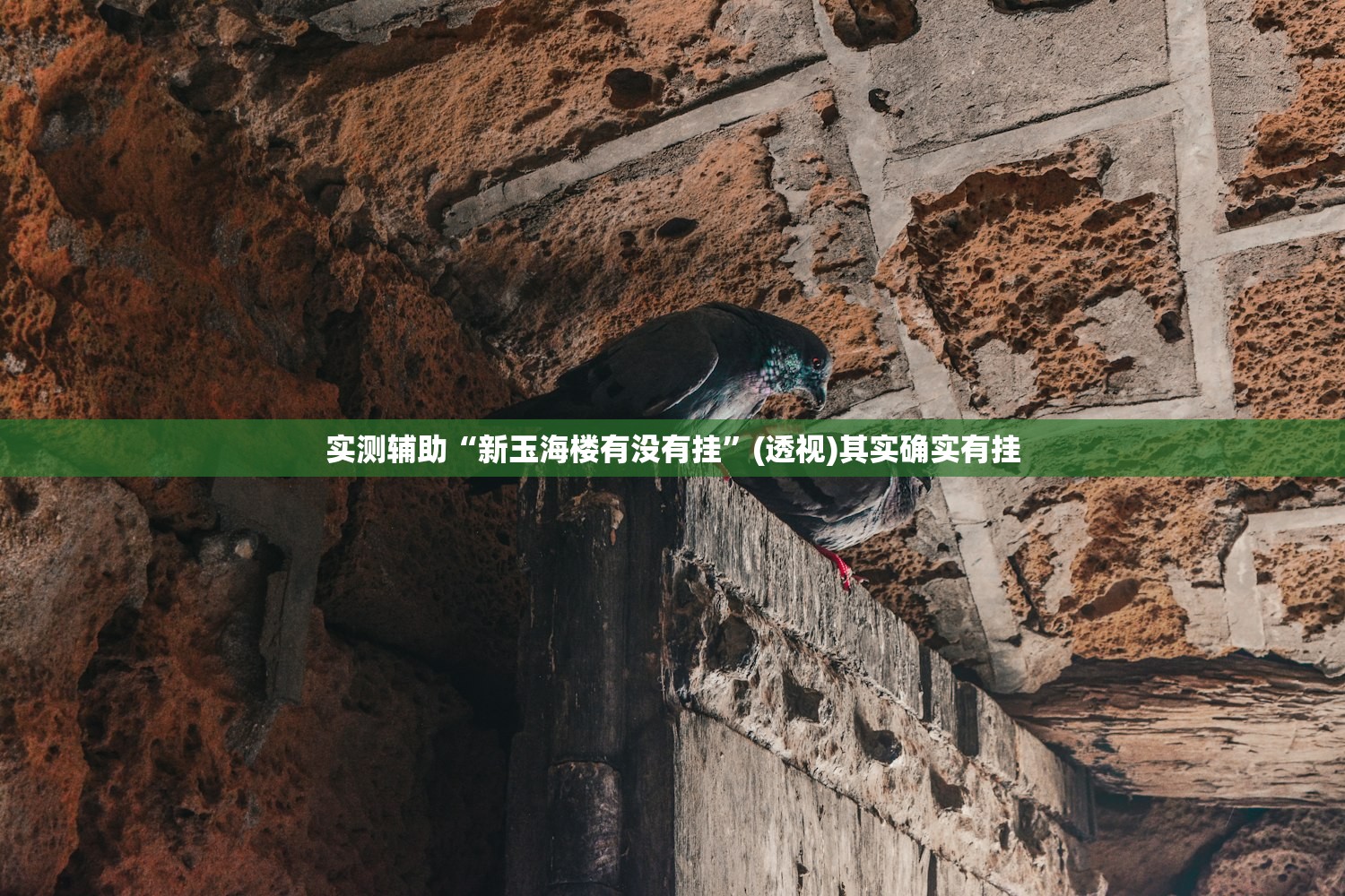 教程辅助!“手机三公大吃小最稳押注法”(免费)开挂辅助教学(最新辅助开挂教程)