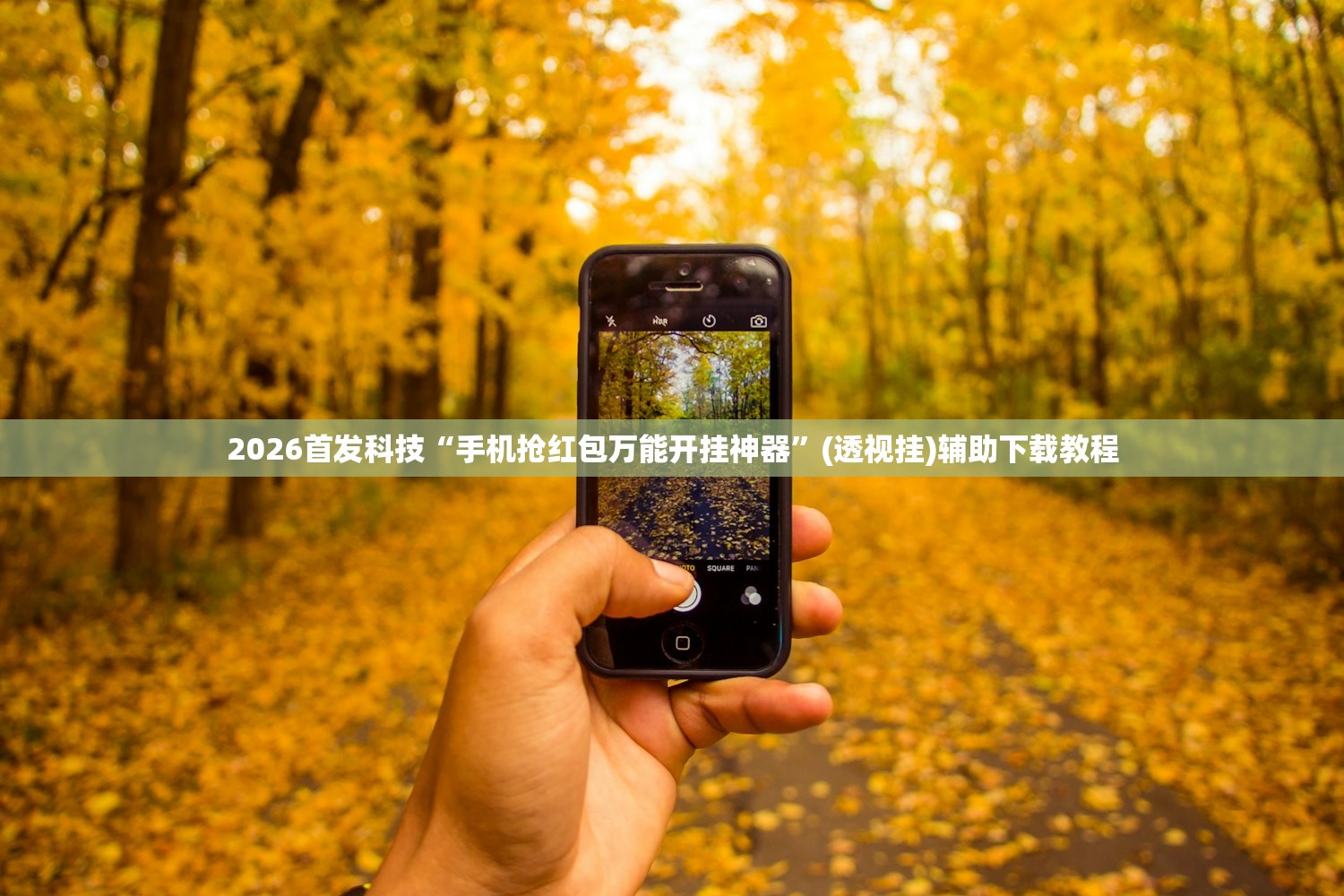 小区的样板房:小区的样板房能买吗
