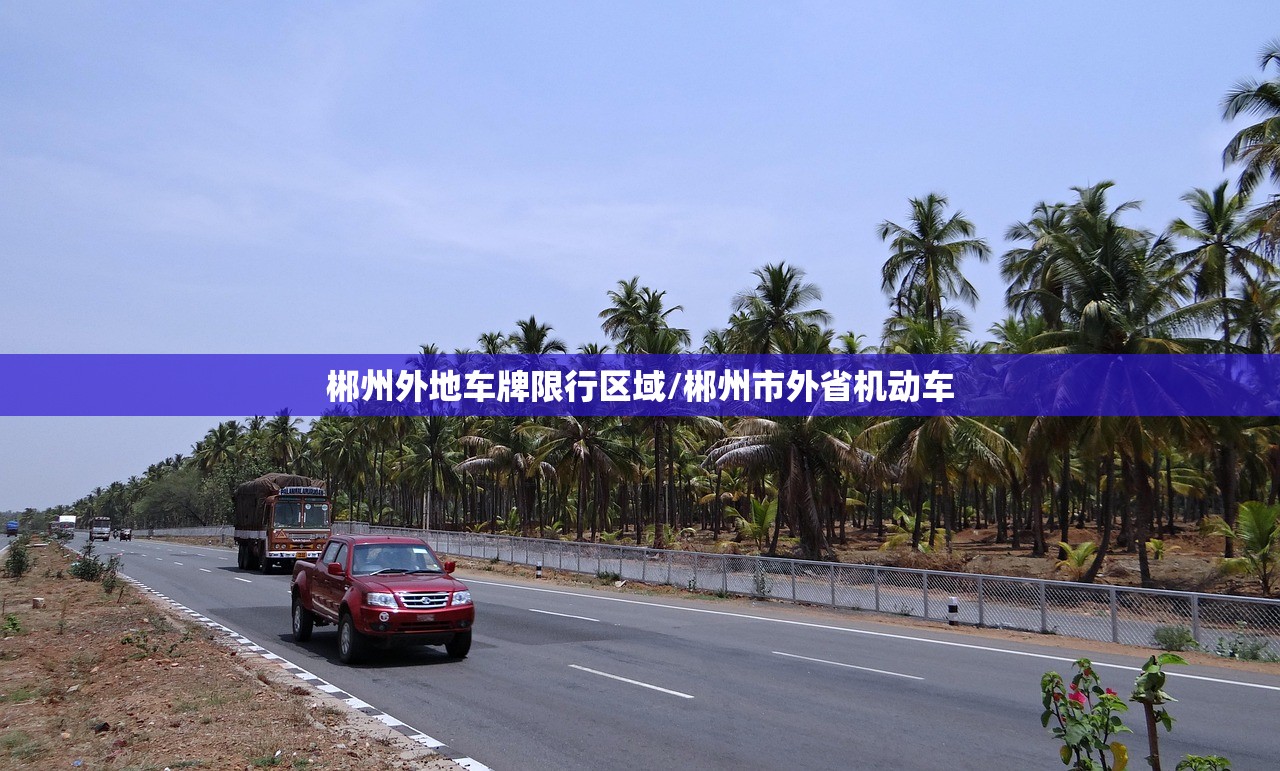 郴州外地车牌限行区域/郴州市外省机动车