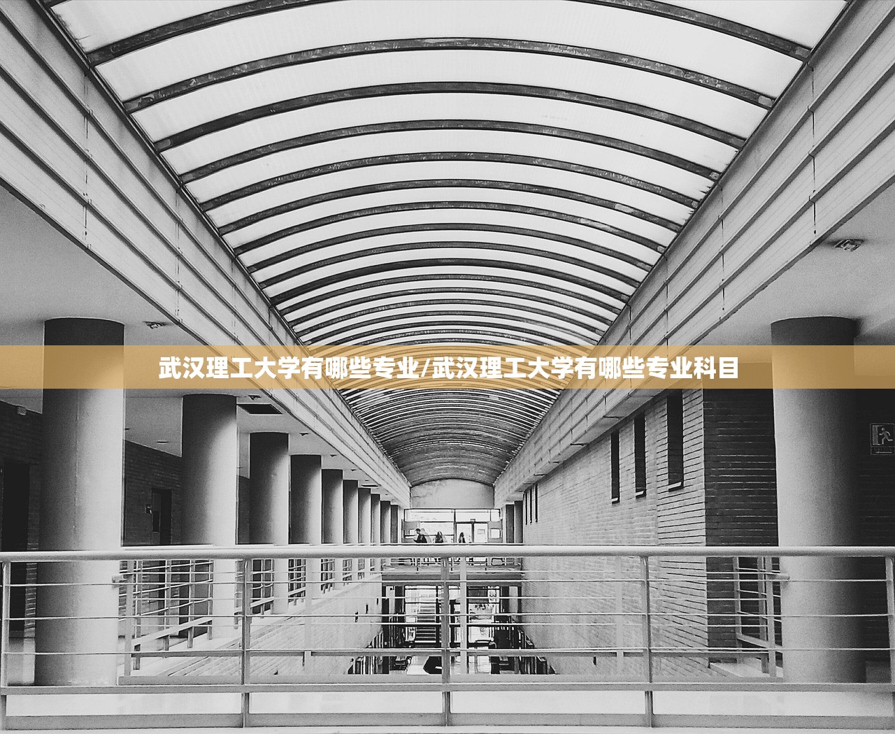 武汉理工大学有哪些专业/武汉理工大学有哪些专业科目