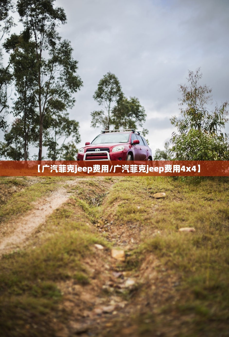 【广汽菲克jeep费用/广汽菲克jeep费用4x4】