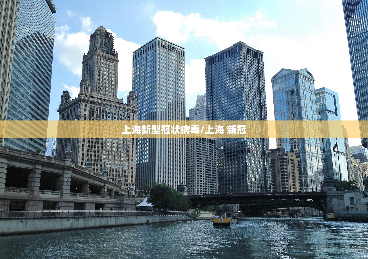上海新型冠状病毒/上海 新冠 上海新型冠状病毒/上海 新冠