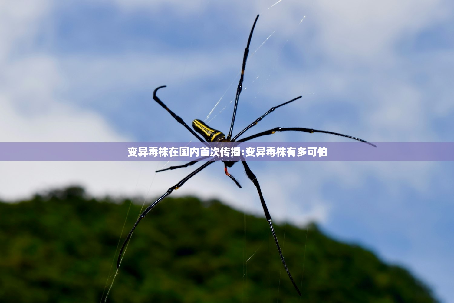 变异毒株在国内首次传播:变异毒株有多可怕