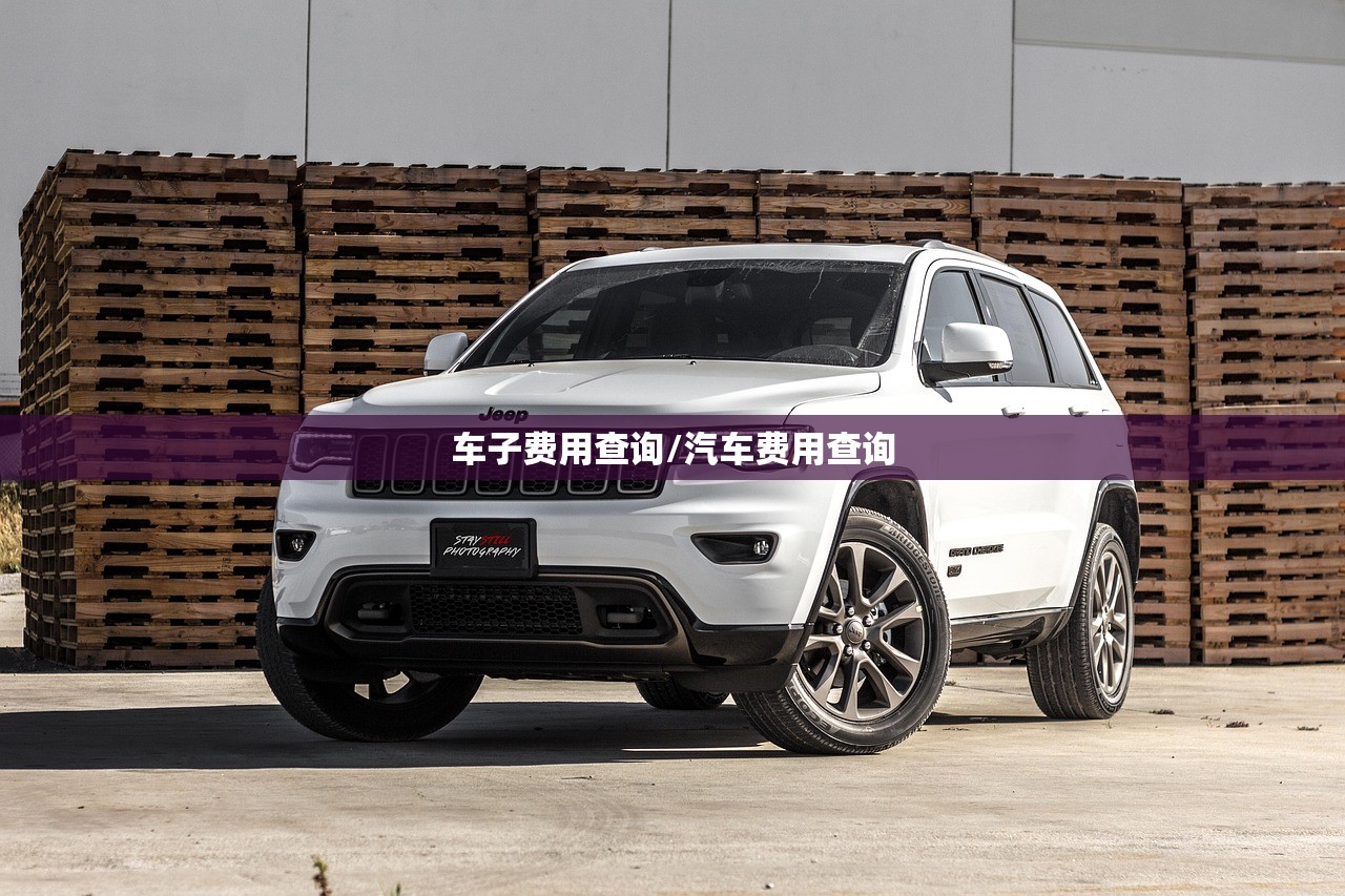 车子费用查询/汽车费用查询