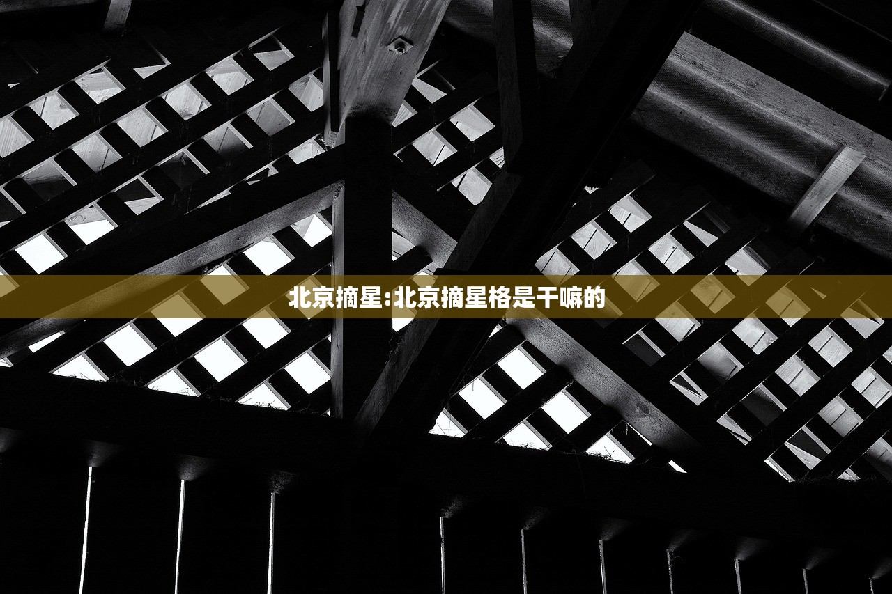 北京摘星:北京摘星格是干嘛的