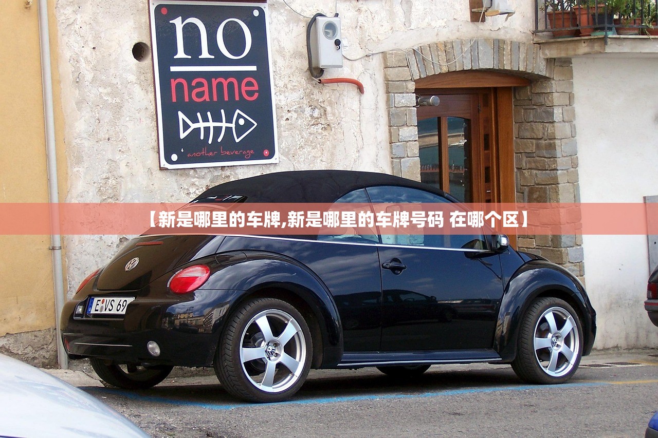 【新是哪里的车牌,新是哪里的车牌号码 在哪个区】