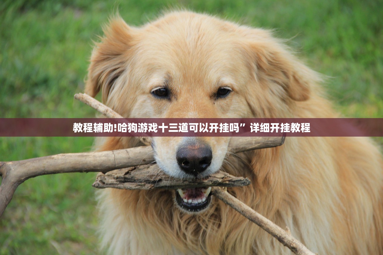 教程辅助!哈狗游戏十三道可以开挂吗”详细开挂教程