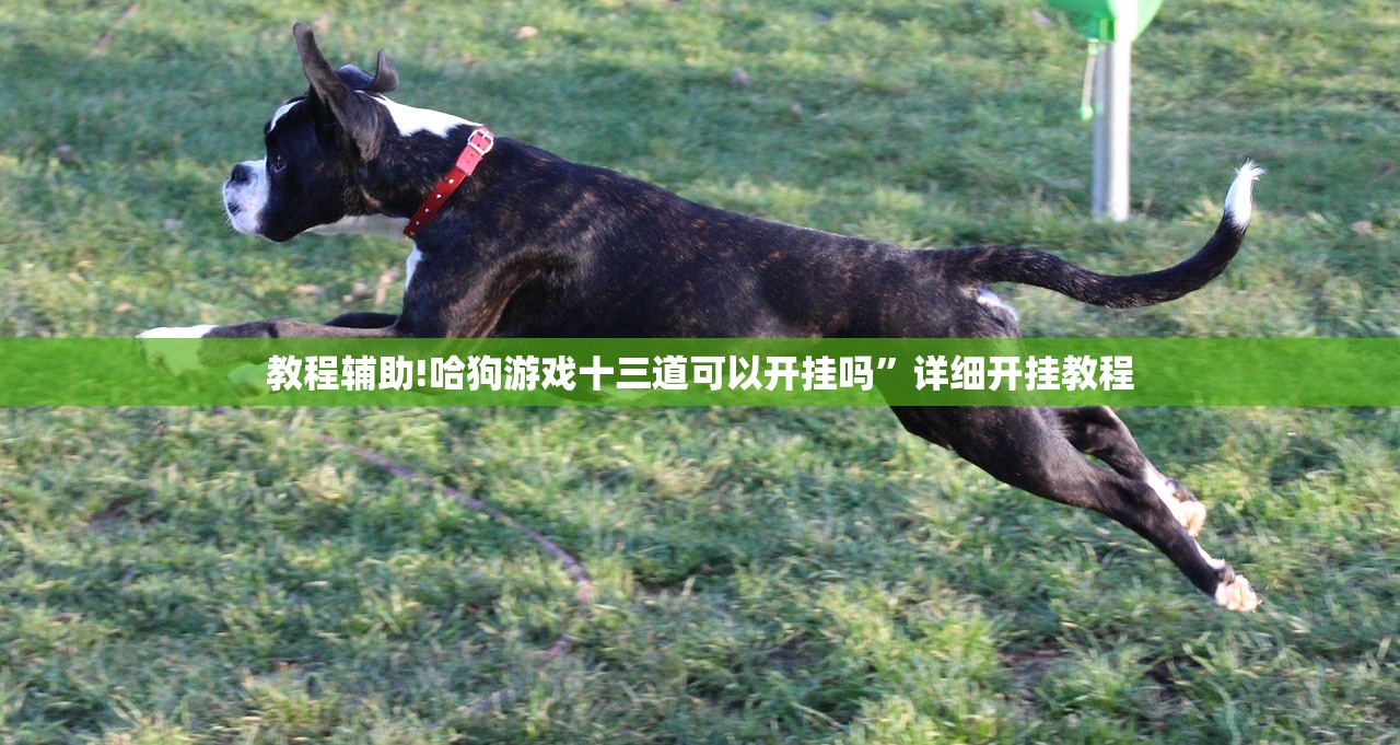 教程辅助!哈狗游戏十三道可以开挂吗	”详细开挂教程
