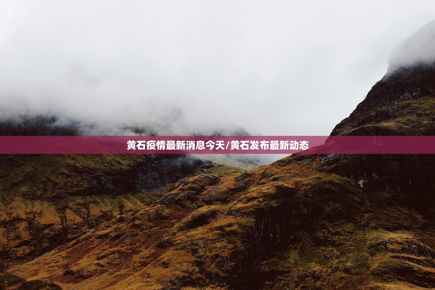 加气站车辆识别/cng加气站电子标签接收流程